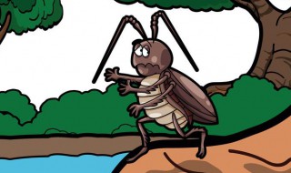 消灭蟑螂用什么办法 消灭蟑螂用什么办法最好