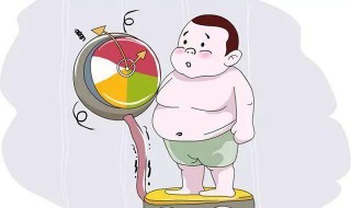 怎么养胖（泰迪太瘦了怎么养胖）