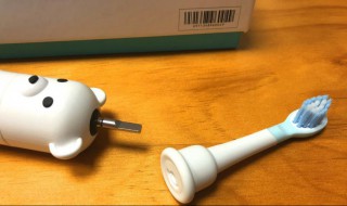 电动牙刷如何清洗 电动牙刷如何清洗霉菌