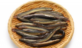 如何清洗泥鳅（如何清洗泥鳅的内脏）