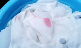 如何清洗被染色的衣服（如何清洗被染色的衣服小妙招）