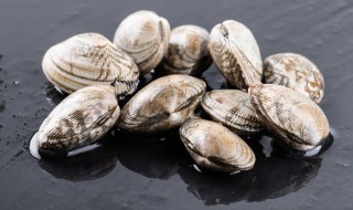 蛤蜊如何清洗