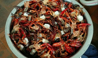 如何清洗大龙虾