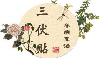 三伏贴后多久吃西瓜（贴了三伏天可以吃西瓜吗）