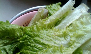 如何清洗生菜 如何清洗生菜更干净