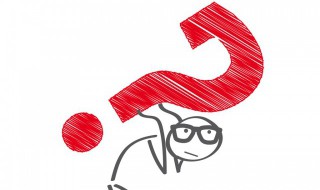 廖智的故事简介（廖智的故事简介20字）