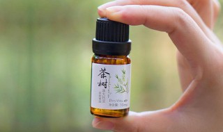 茶树精油的作用和功效 薰衣草精油的作用和功效