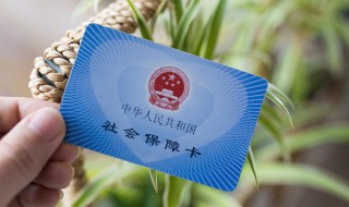 社保怎么网上缴费 医疗社保怎么网上缴费