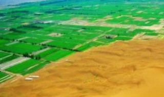 风蚀荒漠化的防治措施 风蚀荒漠化防治的基本原理