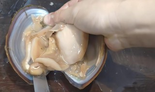 河蚌如何清洗（河蚌如何清洗寄生虫）