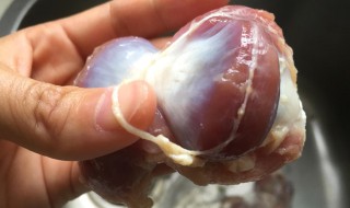 如何清洗鸡胗 如何清洗鸡胗更干净