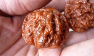 文玩核桃如何清洗 文玩核桃如何清洗缝隙