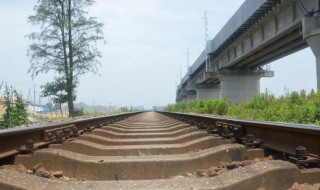 铁轨宽度（铁轨宽度为什么是1435）