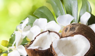 椰子的椰宝怎么吃（椰子里的椰宝怎么吃）