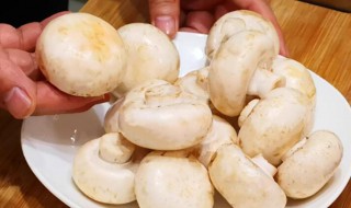 口蘑里面发黑还能吃吗（口蘑发黑还能吃吗?）