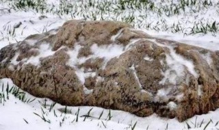 世界上最矮的山有多高（世界上最小的山有多高）