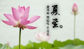 夏至什么时候（夏至什么时候天亮）