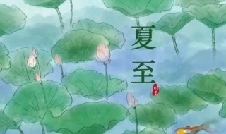 夏至后面的节气是什么（夏至前面是哪个节气）