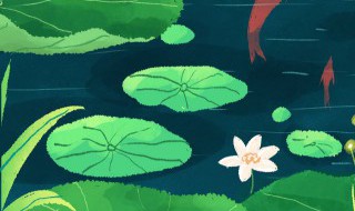 夏至后节气 夏至后节气是什么