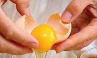 宝宝吃鹌鹑蛋好还是鸡蛋好（宝宝吃鹌鹑蛋好还是鸡蛋好消化）