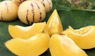 生人参果怎么催熟（人参果生果怎么催熟）