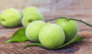 青梅属于发物吗（青梅属于发物吗还是食物）