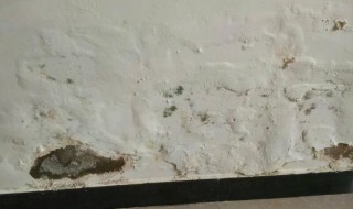 墙面反碱怎么办（墙面反碱怎么办法）