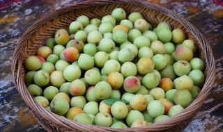 经期可以吃青梅吗（经期能吃青梅吗）