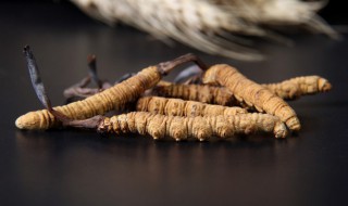 虫草发霉还能吃吗（虫草发霉还能吃吗有毒吗）