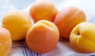 吃了杏子不能喝凉水还是热水（杏子吃完不能喝凉水）