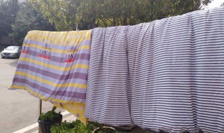 晒被子感觉闻到的阳光味道是什么 晒被子闻到太阳的味道是什么