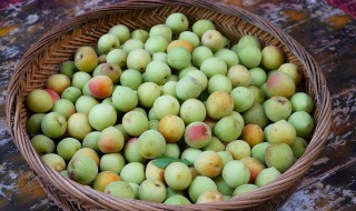 青梅一天吃多少适合（青梅一天吃几颗为好,什么时候吃好）