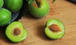 孕妇可以吃青梅吗 孕妇可以吃青梅吗包装袋