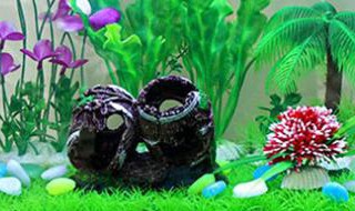 石头鱼的鱼缸摆放位置（鱼缸和石头摆放位置）