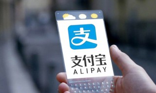 手机支付宝怎样打印社保证明（在手机支付宝里如何打印社保证明）