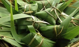 端午节粽子叶用什么叶子 端午节粽子叶是什么叶