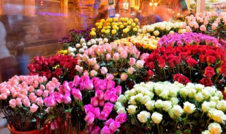 高铁可以带鲜花上去吗（上高铁能带鲜花吗）