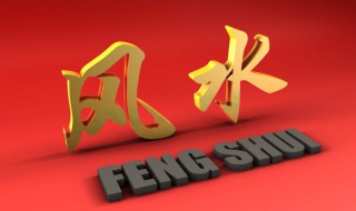 鹦哥鱼的风水学应用 鹦鹉鱼的风水