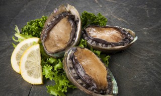 鲍鱼为什么蒸了会硬（鲍鱼蒸了后为什么是硬的）