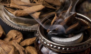 老鼠尿味怎么去除太难闻了（老鼠尿味怎么去除太难闻了车里）