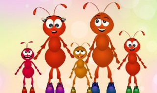 家里有大水蚁怎么处理 家里有蚂蚁怎么处理?