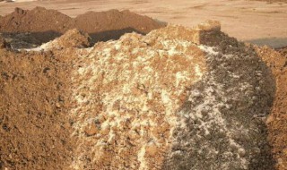 羊粪如何自然发酵 羊粪怎么才能发酵