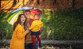 雨伞结构 雨伞结构图解怎么修
