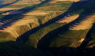 陇原是哪里 陇西 是哪里