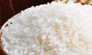 冲泡米饭的原理（冲泡米饭的原理和作用）