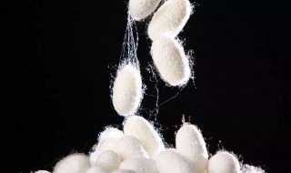 桑蚕丝往身上吸怎么办 桑蚕丝抽丝了怎么办