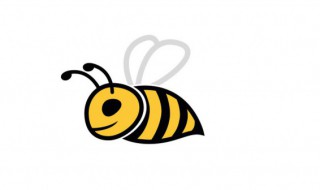 蜜蜂为什么会辨认方向的原因（蜜蜂为什么会辨认方向?）