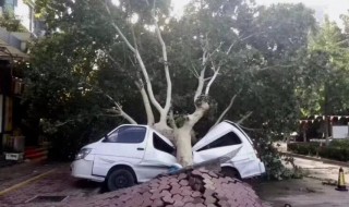 十一级风有多大威力（12级风是最大的吗）