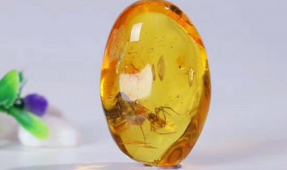 琥珀如何清洗（琥珀如何清洗和保养）
