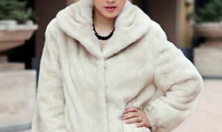 如何清洗貂皮大衣（如何清洗貂皮大衣灰尘）